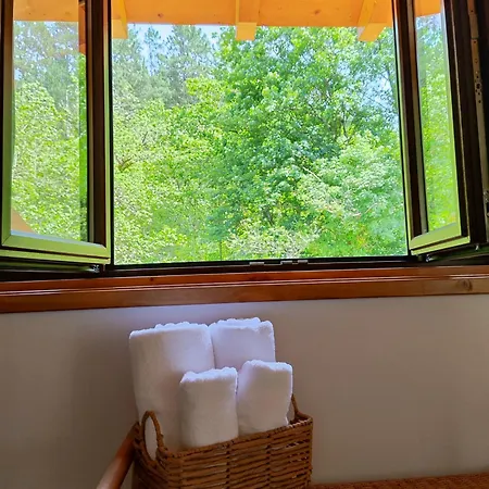 Reguero Gato Casa de Campo Candamin