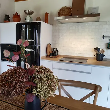 Reguero Gato 乡村民宿 *