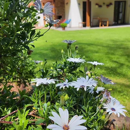 乡村民宿 Reguero Gato Candamin