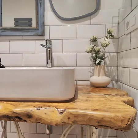 Reguero Gato 乡村民宿 *