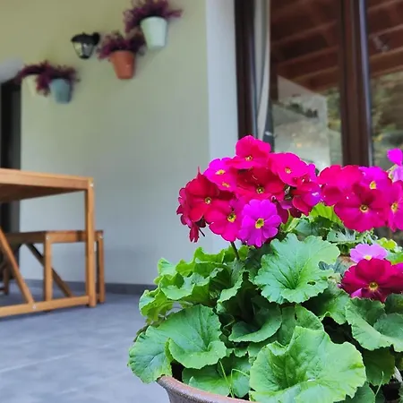 Casa de Campo Reguero Gato *